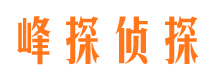 武都市侦探调查公司